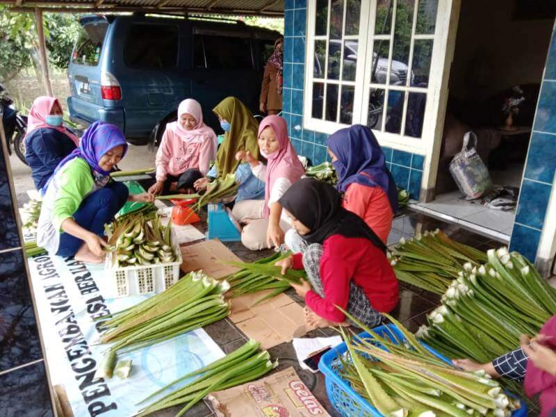 Setelah Panen Perdana, Koppaja Adakan Pelatihan Pengembangan Produk Aloevera